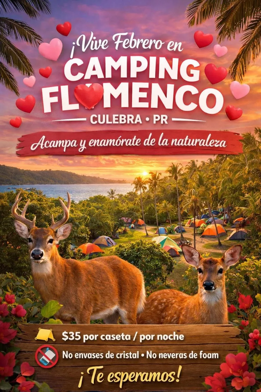 Afiche “¡Vive Febrero en Camping Flamenco!” con precio de $35 por caseta por noche