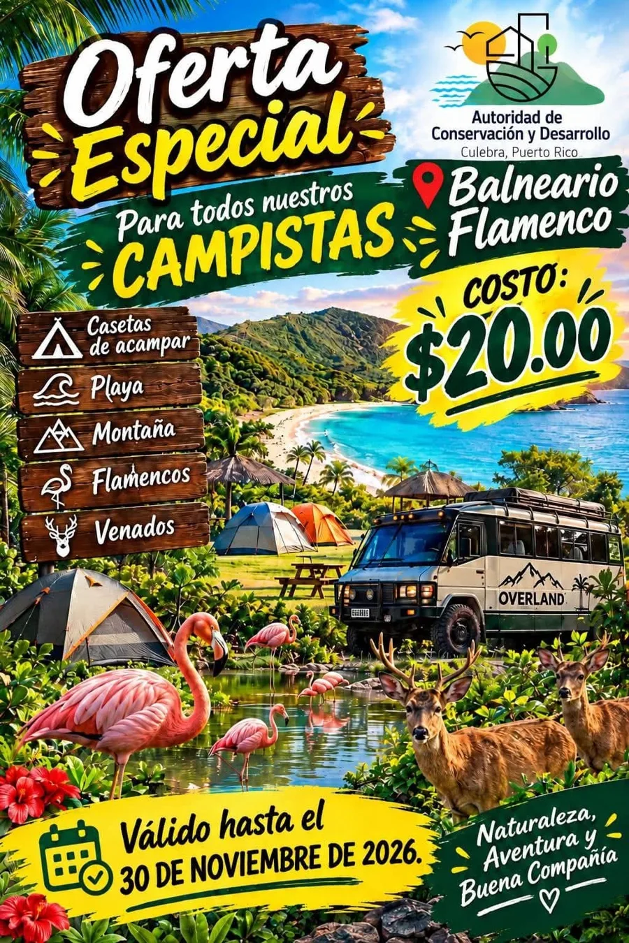 Afiche “Oferta especial para todos nuestros campistas”, costo $20, válida hasta el 30 de noviembre