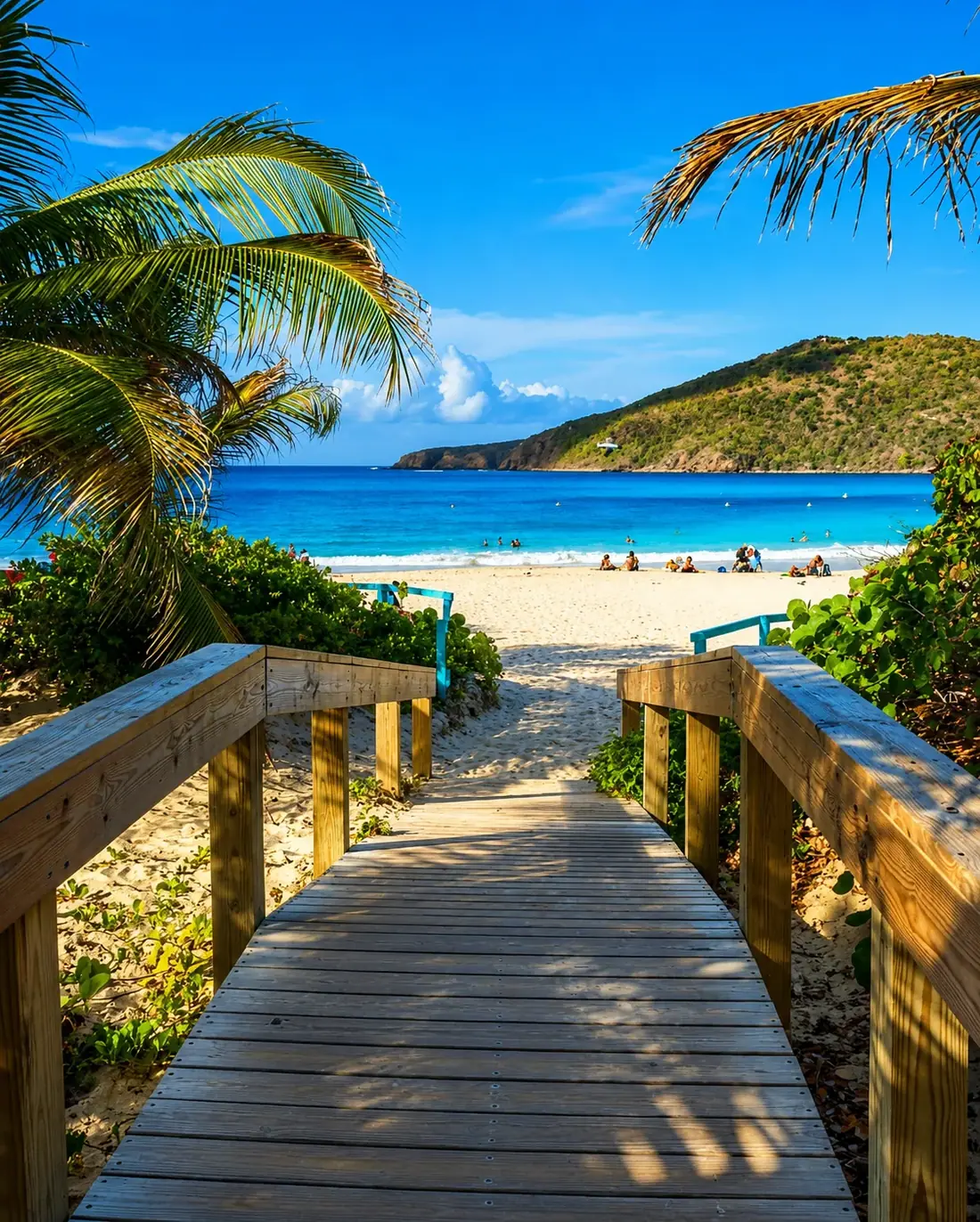 Paseo de madera que conduce hacia la playa entre la vegetación
