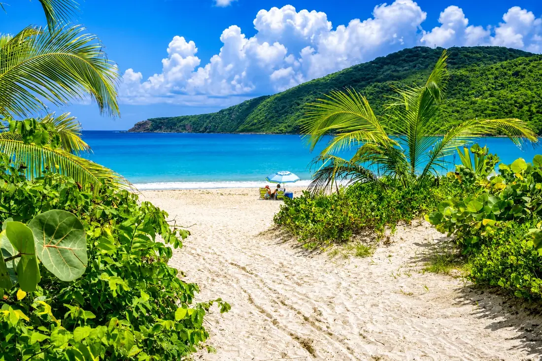 Casitas de campaña bajo los árboles detrás de Playa Flamenco